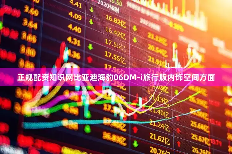 正规配资知识网比亚迪海豹06DM-i旅行版内饰空间方面