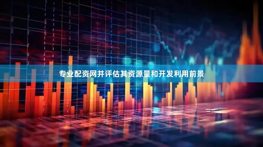 专业配资网并评估其资源量和开发利用前景